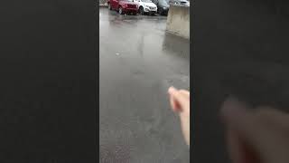 Incredible Hailstorm vs Car shorts [upl. by Marcelia]