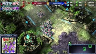 HD878 Jjakji vs Bly  TvZ  Heart of the Swarm FR [upl. by Yekcaj]