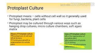 Organ Culture  Protoplast Culture  Plant Tissue Culture [upl. by Ahsienel]