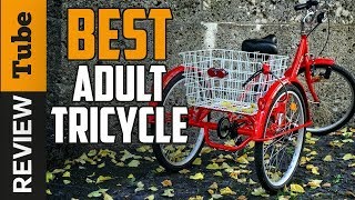 ✅ Tricycle Best Adult Tricycle Buying Guide [upl. by Nodnahs]