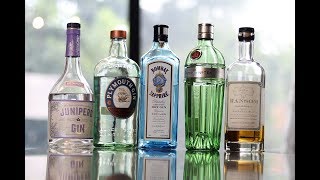 Gin Collection  Top 5 Diverse Picks [upl. by Pachton]