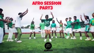 Afro House  session part 3 afrodance [upl. by Wincer]