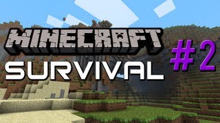 Minecraft Survival 2 What The Hell Was That [upl. by Heng]