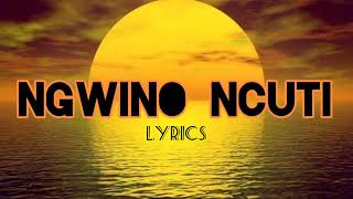 Vivi Muyomba Ngwino ncuti lyrics [upl. by Allard769]