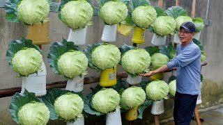 Recycle plastic waste into a oneofakind Cabbage garden so wonderful and beautiful [upl. by Bridge431]