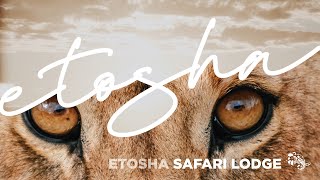 ETOSHA SAFARI LODGE  NAMIBIA [upl. by Iad]