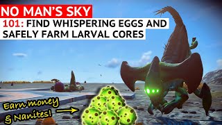 Get Rich Farming WhisperingLarval Eggs in a Safe Way [upl. by Labana]