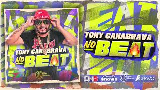 Tony Canabrava No Beat  TALARICO [upl. by Myrah89]