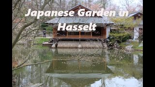 Japanese Garden in Hasselt 🇧🇪 [upl. by Antonino]