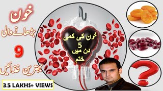 Foods for Anemia Treatment UrduHindi khoon Badhane wali Ghazain  khoon ki kami 5 Din main khatam [upl. by Lytton]