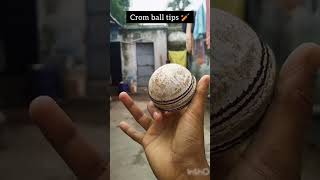 Carrom ball tutorial tips 🏏sorts sports cricket cricketshorts speedbowling spinbowling [upl. by Becka]