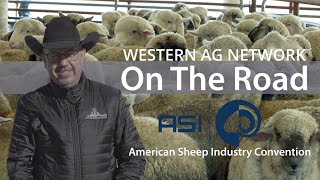 Colorado Hosts American Sheep Industry Association Convention [upl. by Haleigh]