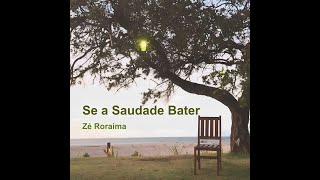 SE A SAUDADE BATER ZÉ RORAIMA [upl. by Boylston782]