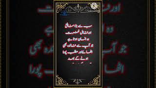 Al Meezan Media quotes aqwalezareen [upl. by Aratak797]