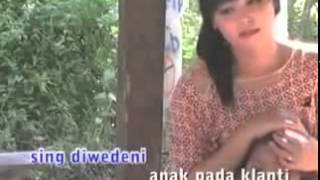 Jurang jero Dian Anic Dangdut Tarling Cirebonan [upl. by Rodolfo]