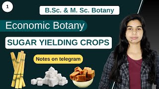 Economic Botany  SUGAR YIELDING CROPS  Botany  B Sc amp M Sc [upl. by Nylessoj]