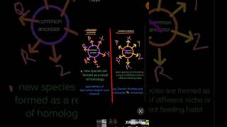 Convergent Evolution vs adaptive radiation class 12 evolution ncert physicswallah alakhpandey [upl. by Hsizan824]