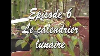 Plantes EP6  Le calendrier lunaire [upl. by Auhsoj]