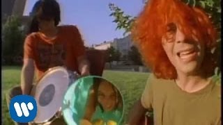 The Flaming Lips  She Dont Use Jelly Official Music Video [upl. by Binny]