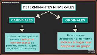 Determinantes numerales 4º [upl. by Gaston]