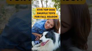 Five top dog snuffle toys for fall season [upl. by Ahsemo]