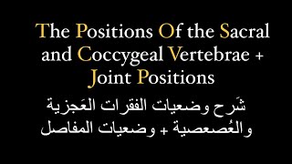 شَرح وضعيات التصوير للفقرات العجزية والعُصعصية 🩻 Sacral and Coccygeal vertebrae [upl. by Auoy989]