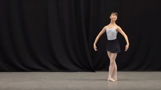 Insight Ballet Glossary  Petit allegro [upl. by Podvin]