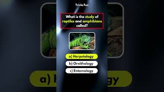 General Knowledge Quiz Part 37 gkquiz quiz trivia [upl. by Glialentn]