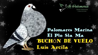 Buchón Gaditano Jerezano Luis Arcila v13 [upl. by Anatnas754]