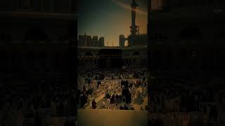 soriah yaseen quran quranrecitation qurantilawat islamicstatus islamicvideo [upl. by Aikimat]