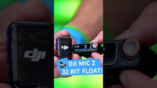 DJI Mic 2 Get Perfect Audio Every Time [upl. by Nicholle905]