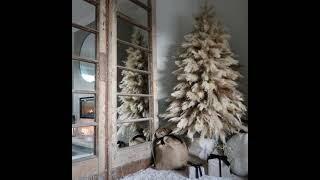 Pampas Grass Christmas Tree [upl. by Vadnee]