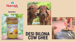 Nanak Desi  A2  Bilona Cow Ghee Making Video  Certified Organic amp Authentic  Vedic  Medicinal [upl. by Refynnej]