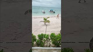 The beach at Akumal Bay Lol Ha Bea ch Club Hotel Akumal Caribe  amazing swimming akumal [upl. by Hujsak]