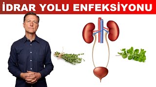 İdrar Yolu Enfeksiyonu İYE için En İyi Tedavi  DrBerg Türkçe [upl. by Maurizio]