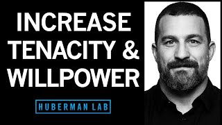 How to Increase Your Willpower amp Tenacity  Huberman Lab Podcast [upl. by Leahcimdivad]