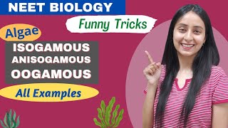 Funny Tricks to Learn Isogamous Anisogamous Oogamous Examples  NEET BIOLOGY [upl. by Aihsiek]