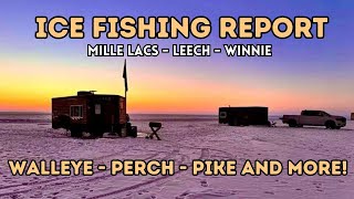 Ice Fishing Report Leech Lake Lake Winnie and Mille Lacs Lake 02022024 [upl. by Sellma18]