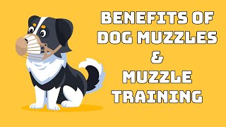 Podcast 63 Benefits of dog muzzles and Muzzle training [upl. by Jorrie437]