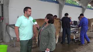 Entrevista al veterinario Fernando López impulsor de la Central de Aspiración de Ovocitos en Cangas [upl. by Aiseneg]