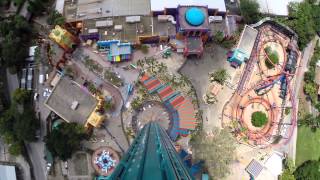 Falcons Fury POV Drop ridethrough at Busch Gardens Tampa [upl. by Anelrac446]