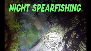 Night Spearfishing 04242021 [upl. by Leugim]