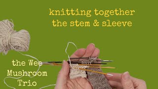 Knitting the Stem and Sleeve Together tutorial for the Wee Mushroom Trio pattern [upl. by Hasseman591]