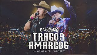 Eliseo Robles Ft Lalo Mora  Palomazo Norteño  Tragos Amargos  Video Oficial [upl. by Naihs23]