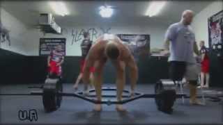 Brock Lesnar  UFC  Workout amp Highlights  HD [upl. by Berti]