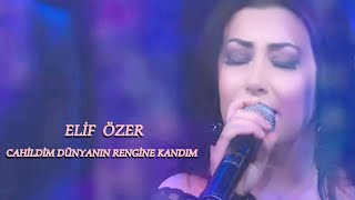 Cahildim Dünyanın Rengine Kandım  Elif Özer [upl. by Nytram]