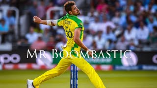 Mr Boombastic X Mitchell Starc 😱  Cricket Highlights  Shaggy [upl. by Sitruk]