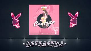 🐰 CONEJITA REMIX 🐰  ATOMIC ✘ SOTRACKDJ [upl. by Erdnoid356]