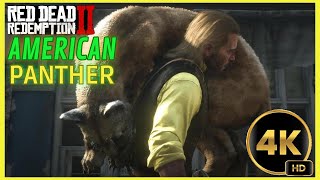 THE GREAT MARSHES PANTHER  4K  RED DEAD REDEMPTION 2 reddeadredemtion2 gameplay [upl. by Ritch]