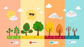 Learn Seasons for Kids  Learning the Four Seasons with Sam TV  Exploring the Seasons [upl. by Yud302]